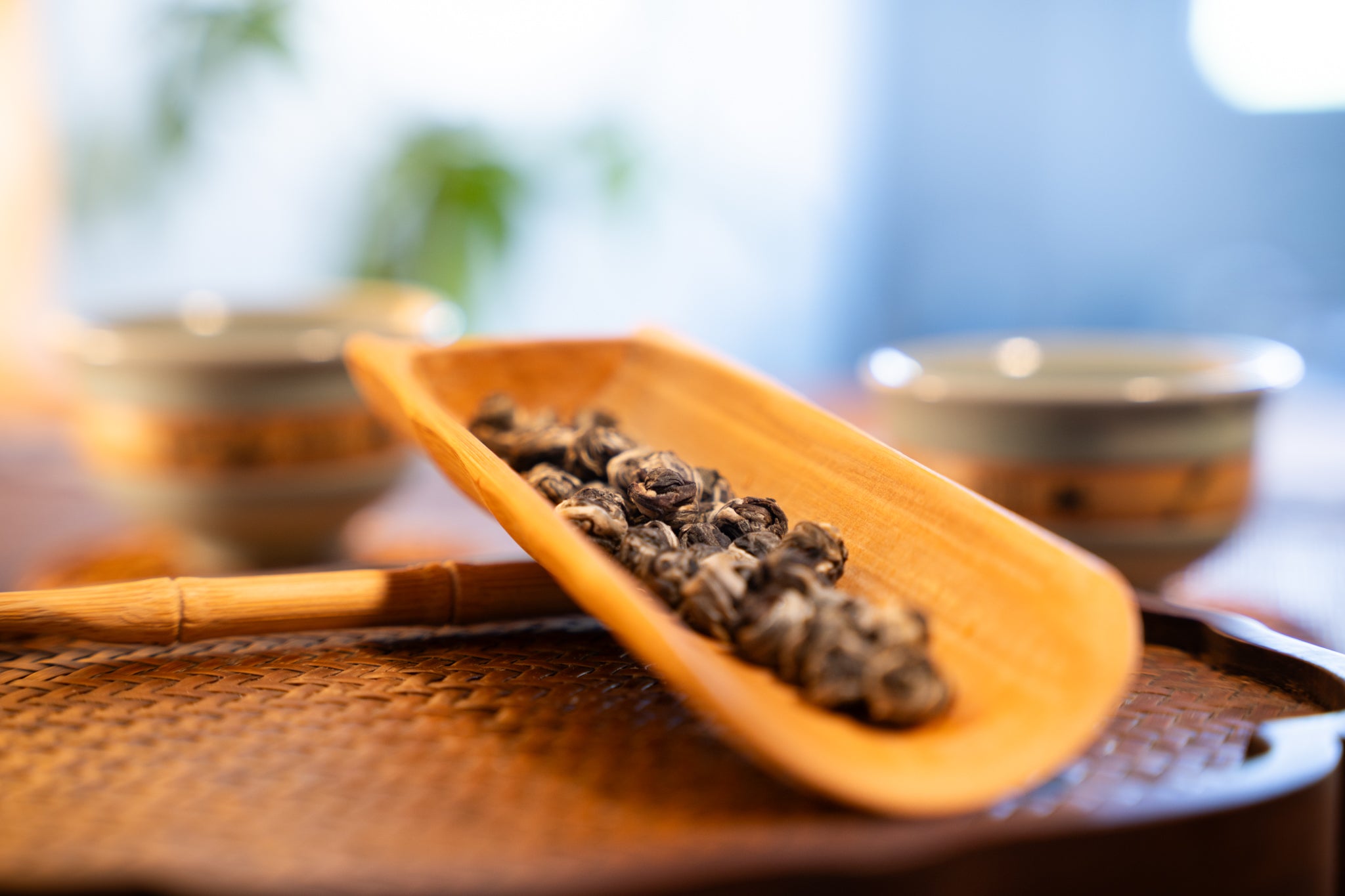 Jasmine Pearl - Green Tea