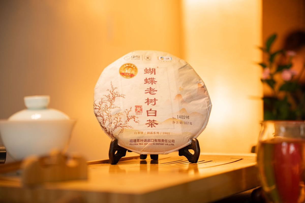 Ancient Tree White Peony - White Tea