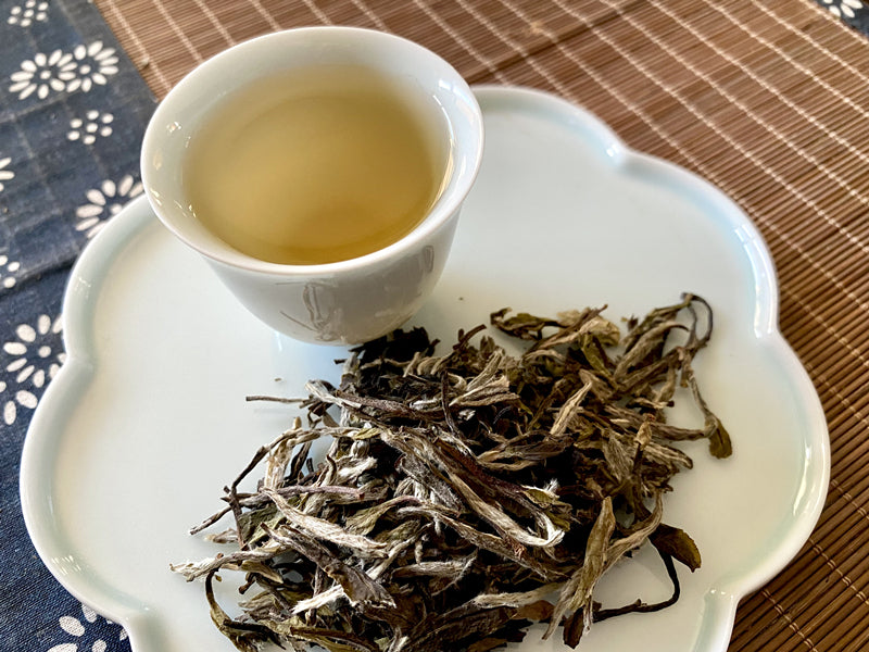 Bai Mu Dan - White Tea