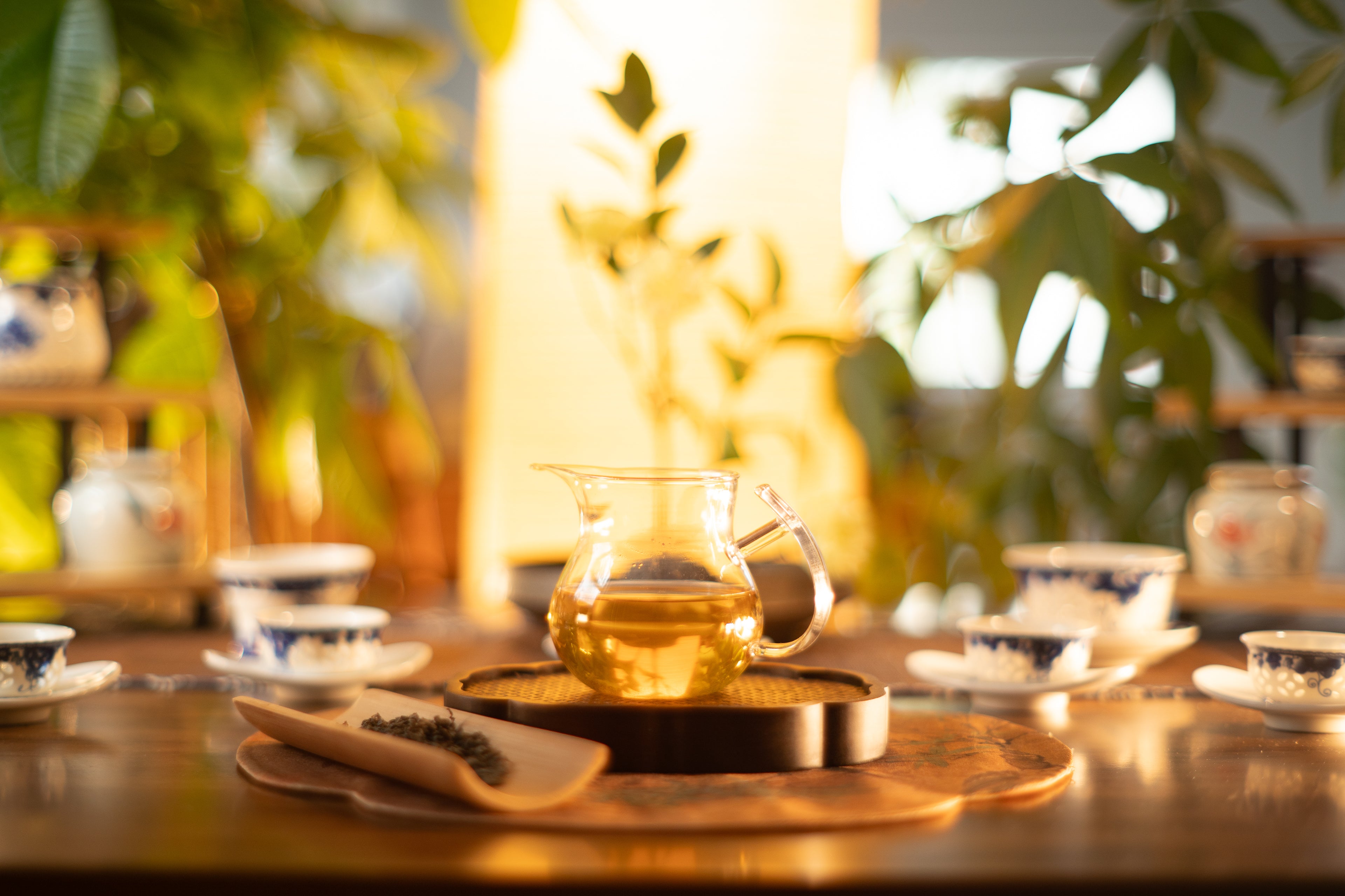 Roasted Tie Guang Yin - Oolong Tea