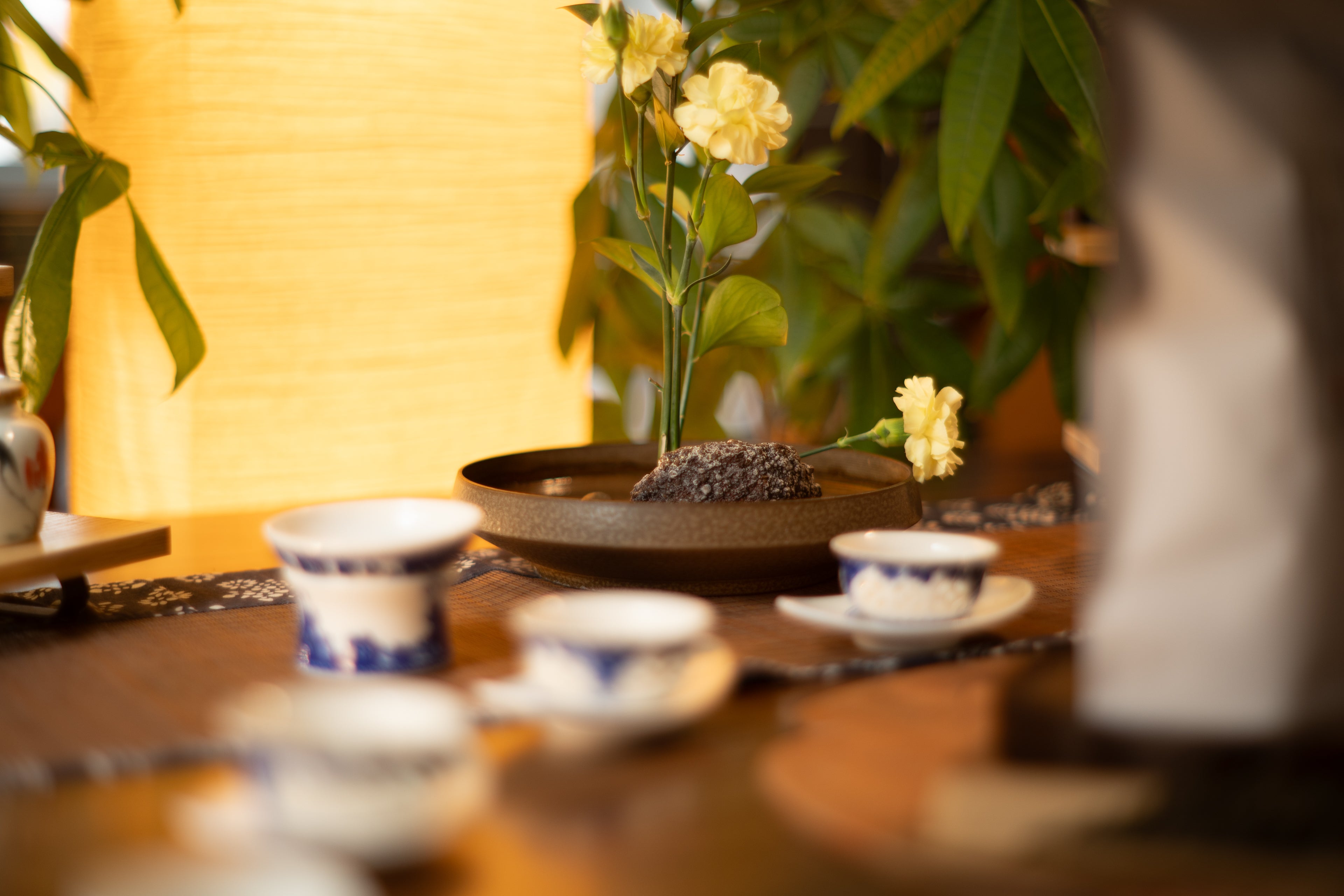 Wen Shan Bao Zhong - Oolong Tea